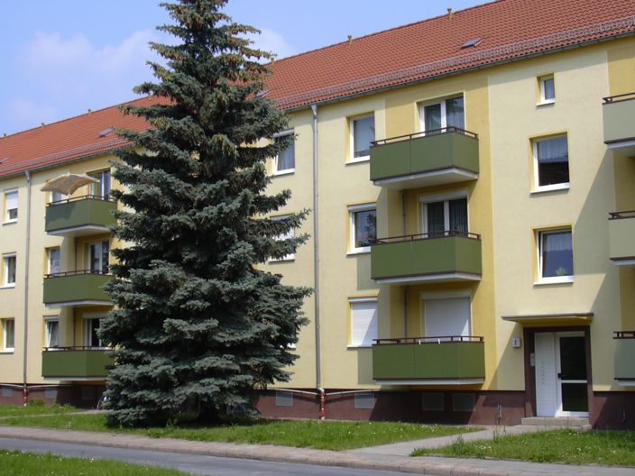 3-Raum Wohnung (536)